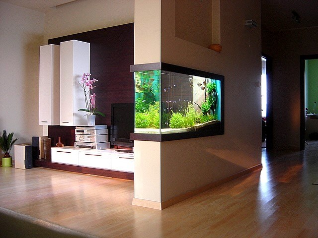 Os aquários podem ser integrados na decoração da casa (Foto: Reprodução)